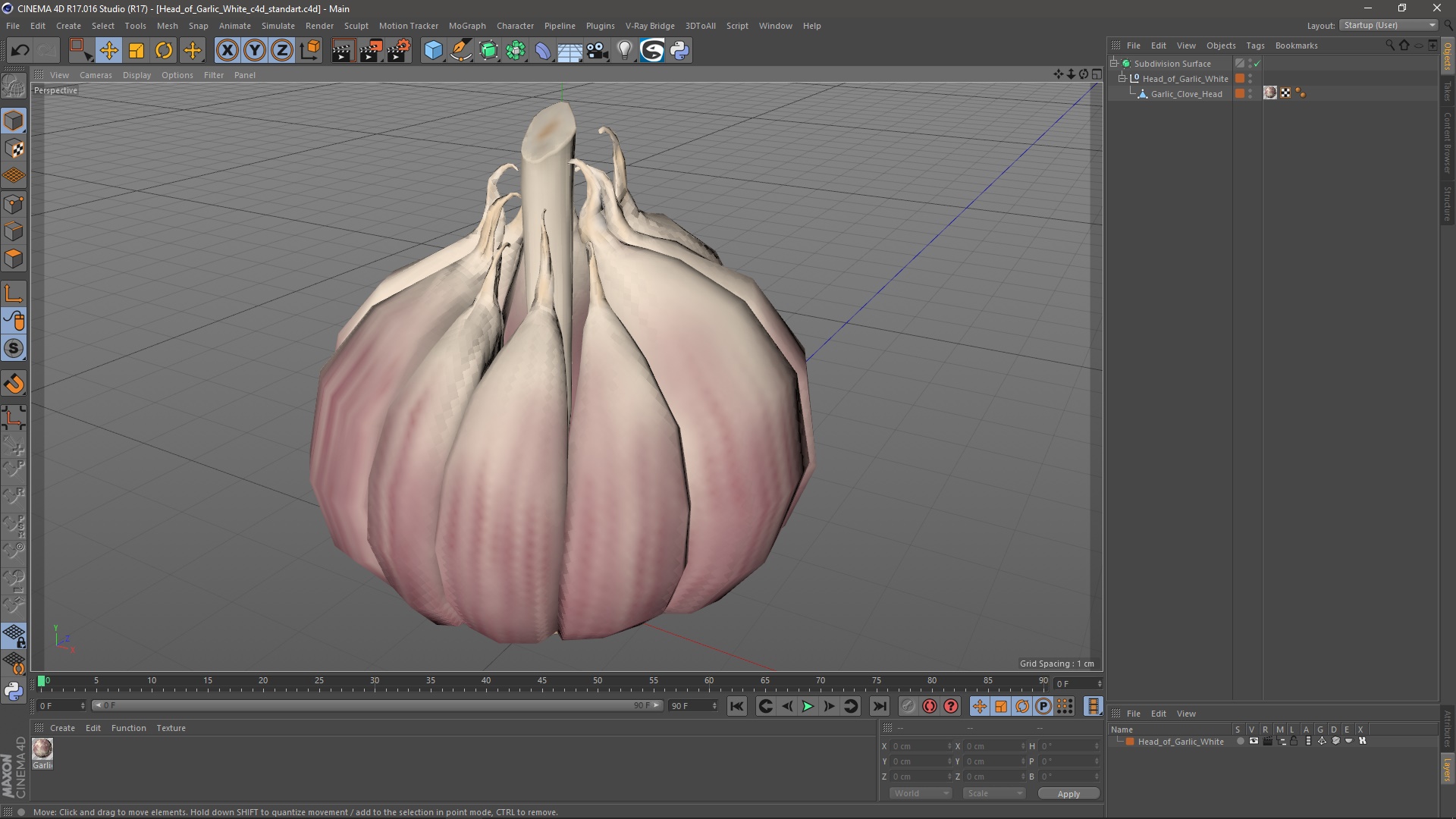 3D model Head of Garlic White