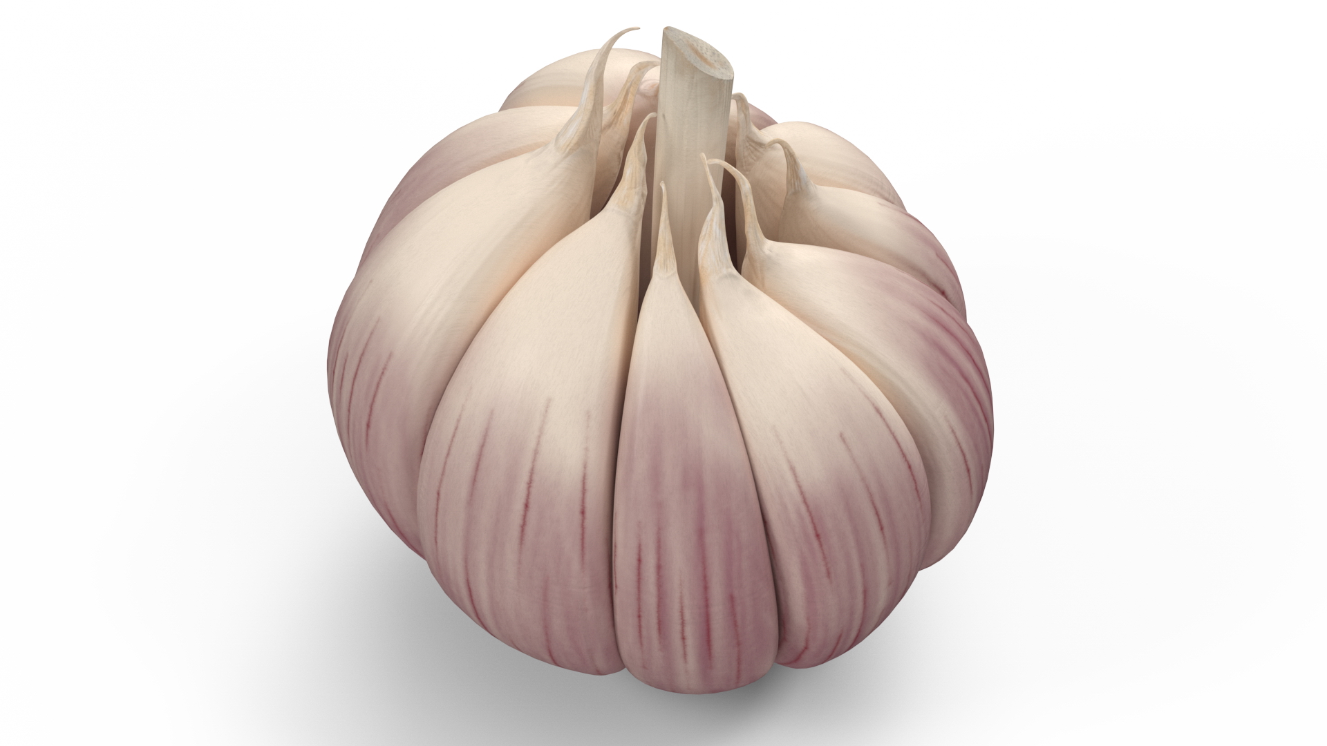 3D model Head of Garlic White