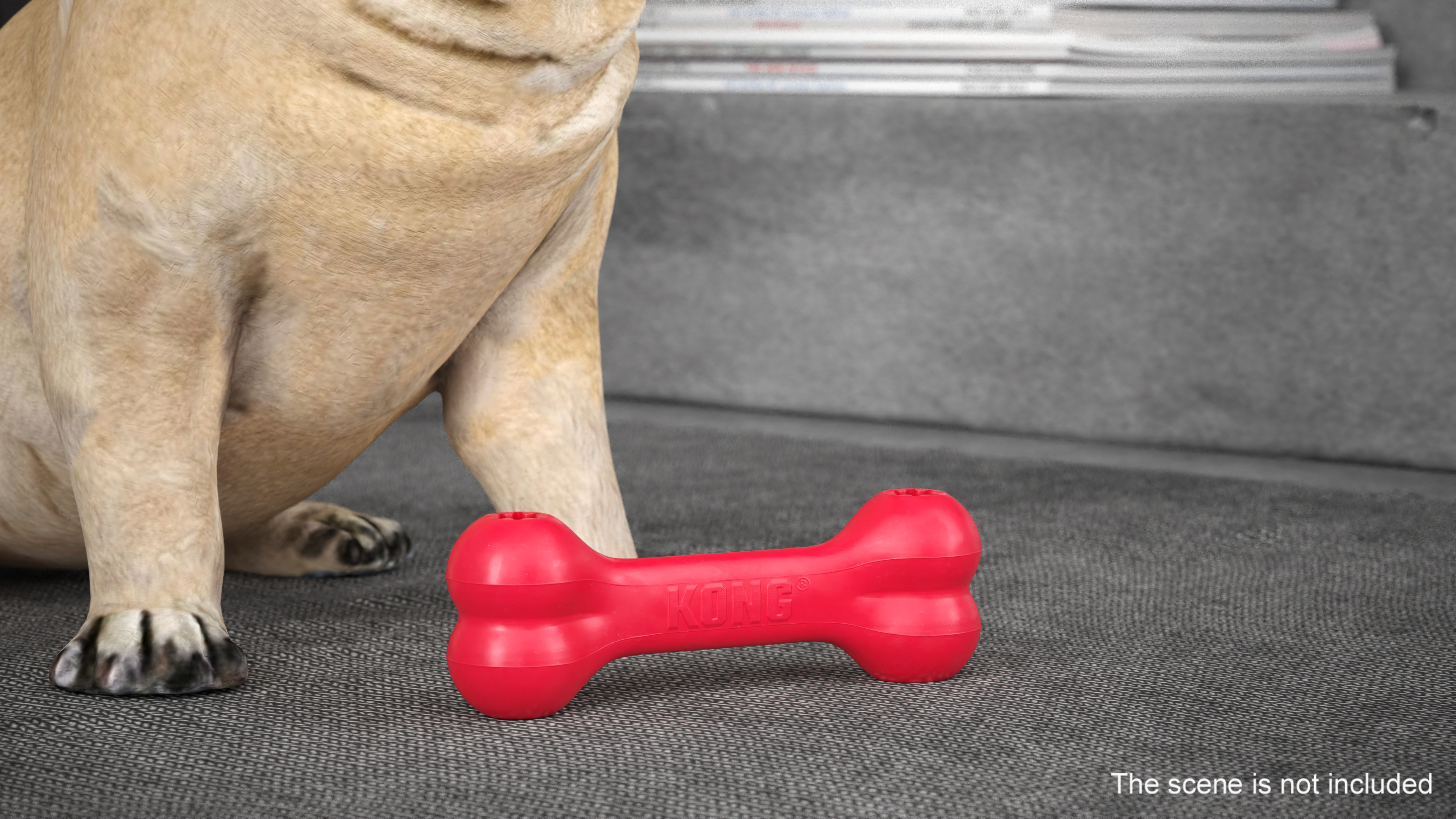 3D KONG Bone Dog Toy Red