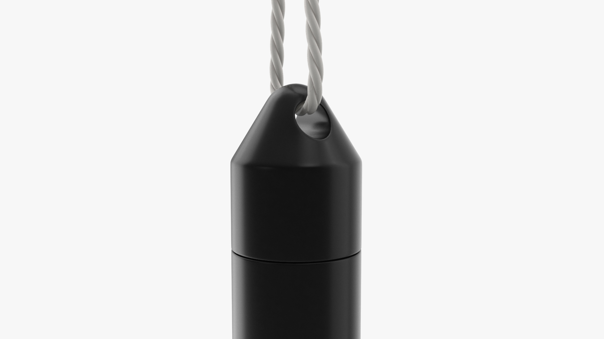 Black Water Level Logger 3D model