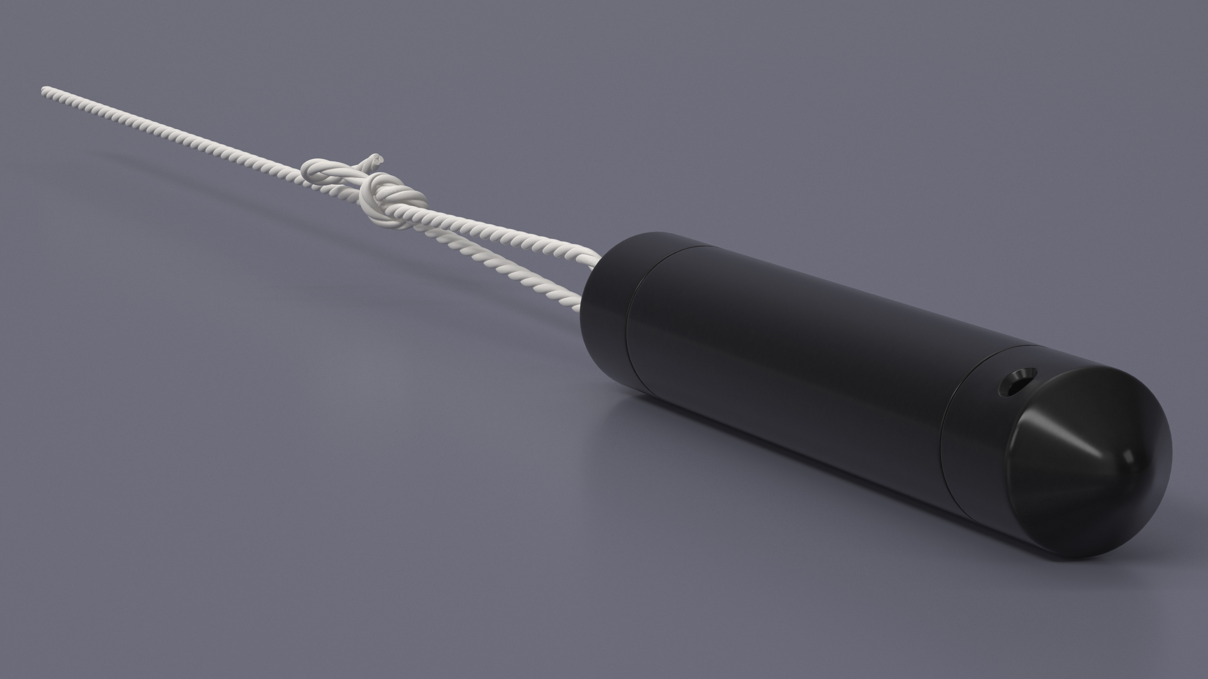 Black Water Level Logger 3D model