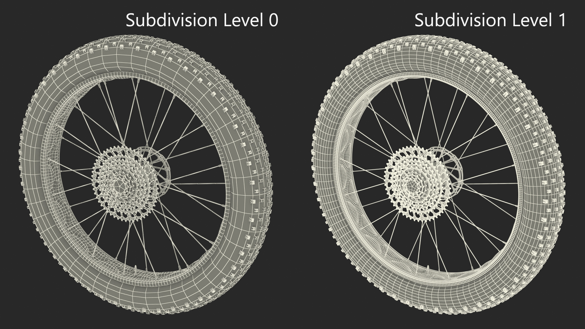 Fat Bike Wheel 3D model