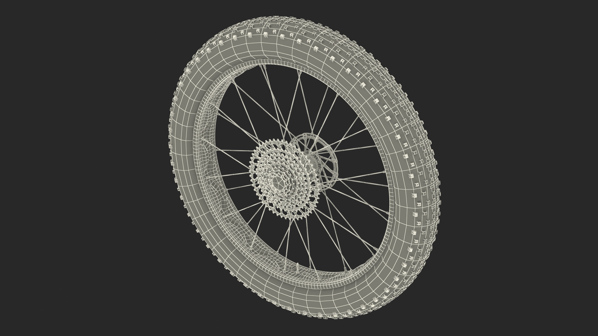 Fat Bike Wheel 3D model