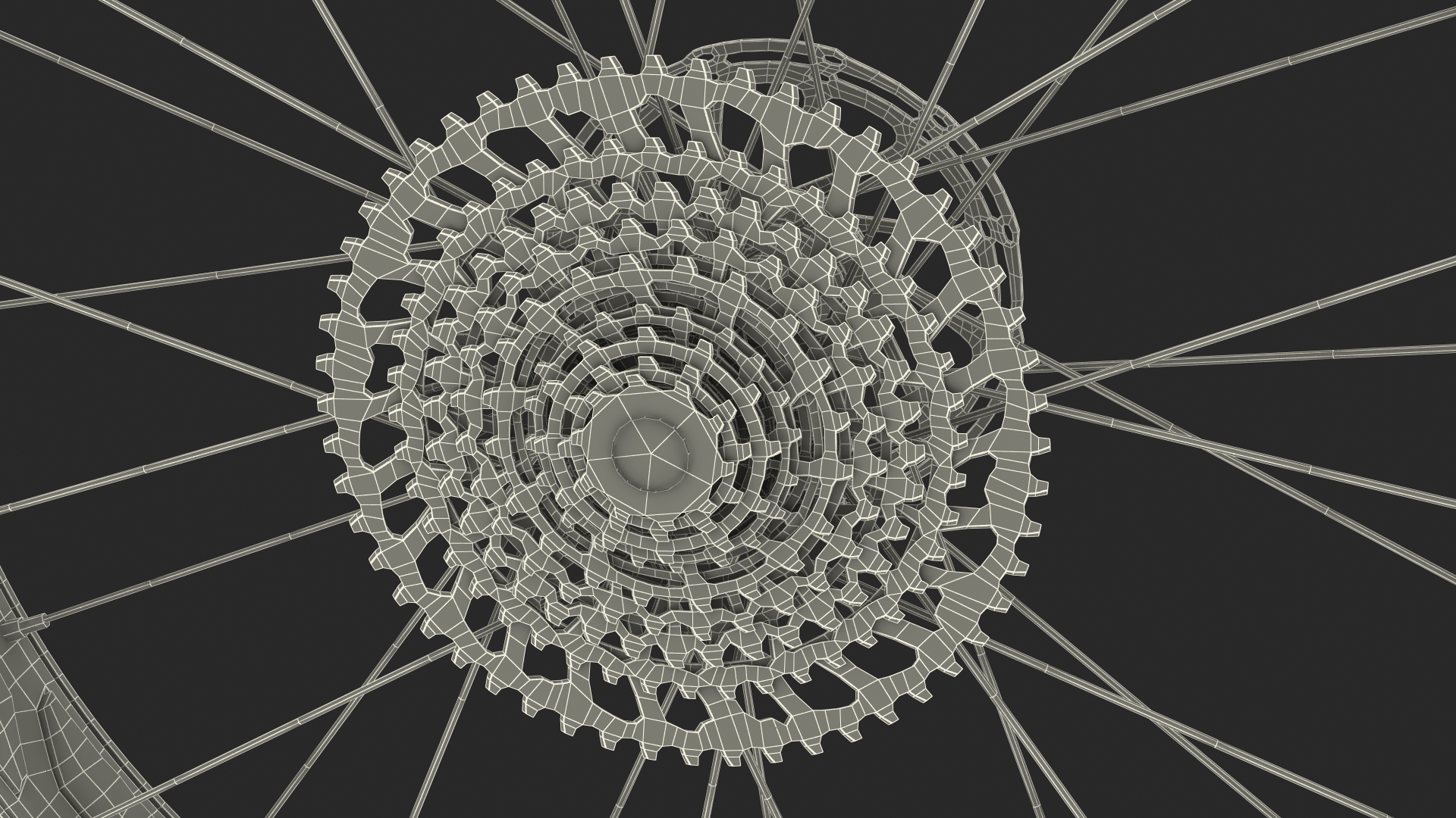 Fat Bike Wheel 3D model