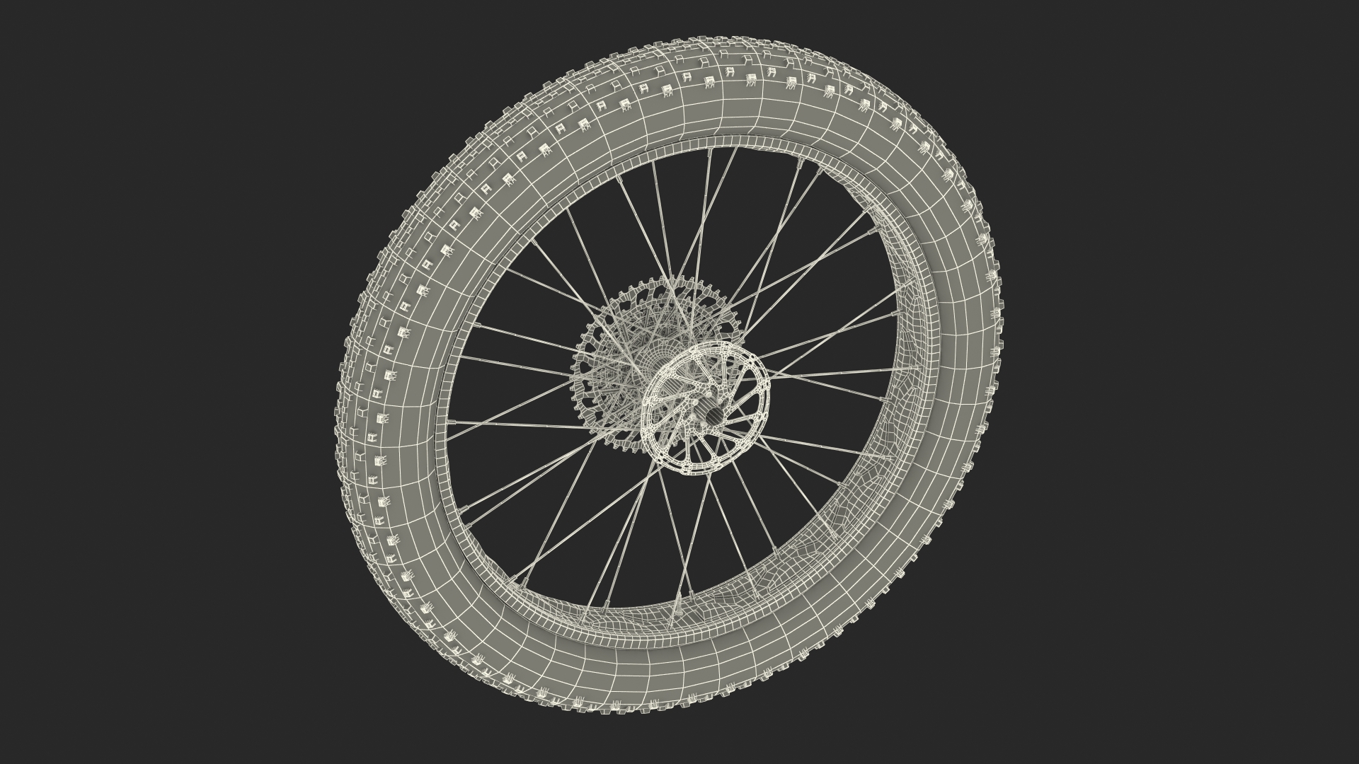 Fat Bike Wheel 3D model