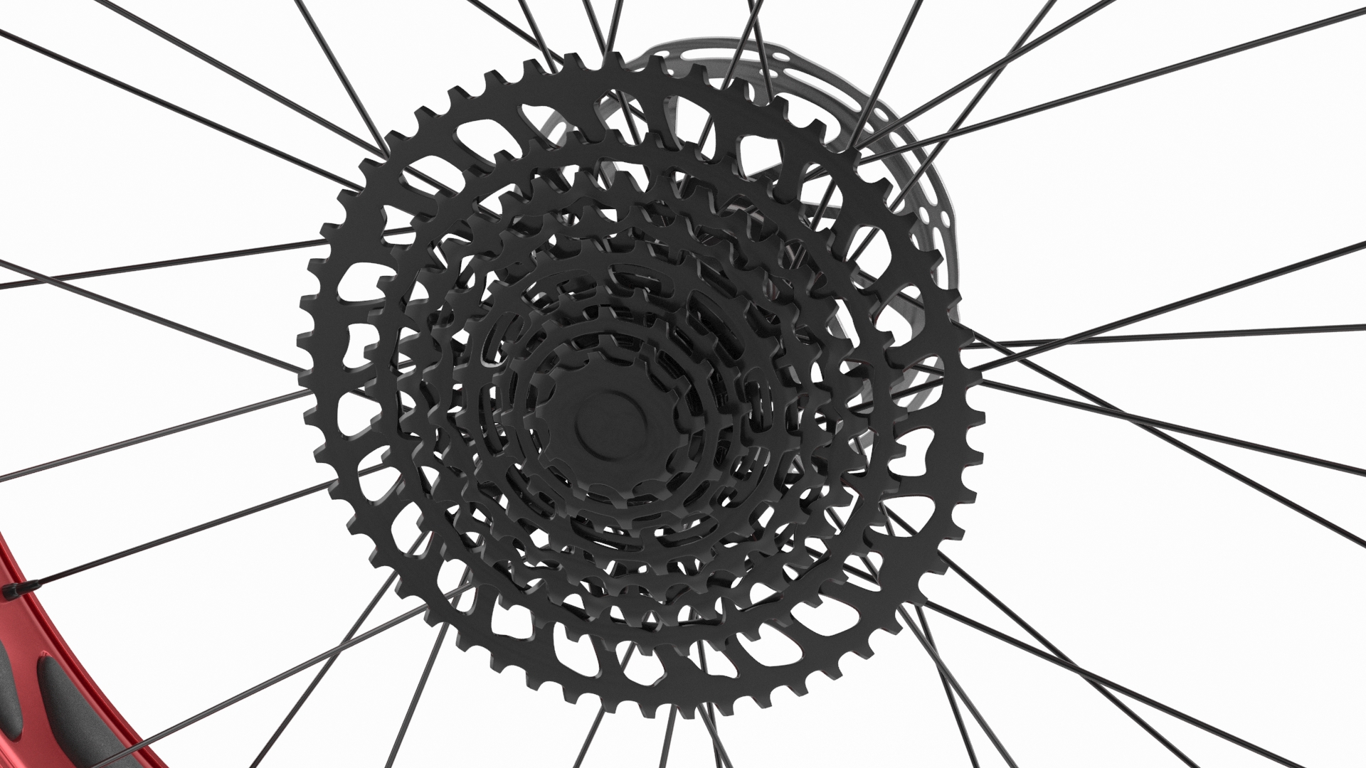 Fat Bike Wheel 3D model