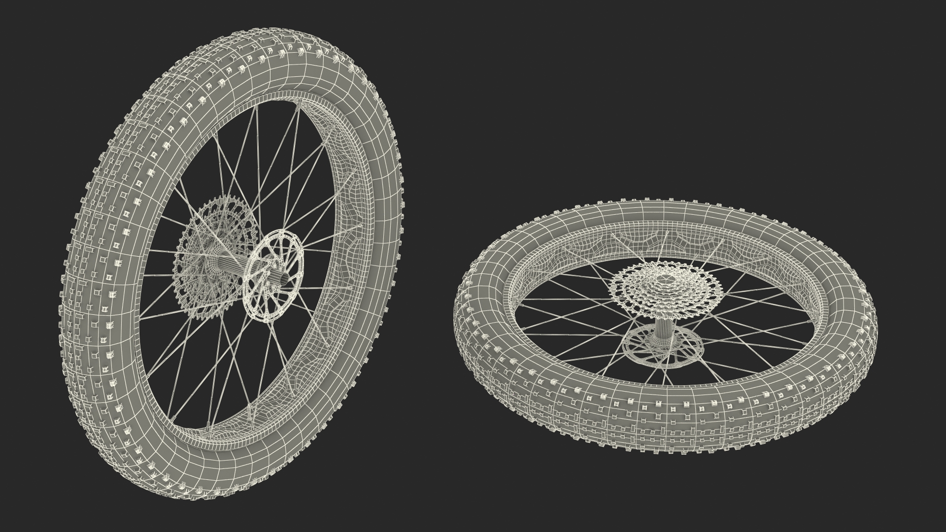 Fat Bike Wheel 3D model