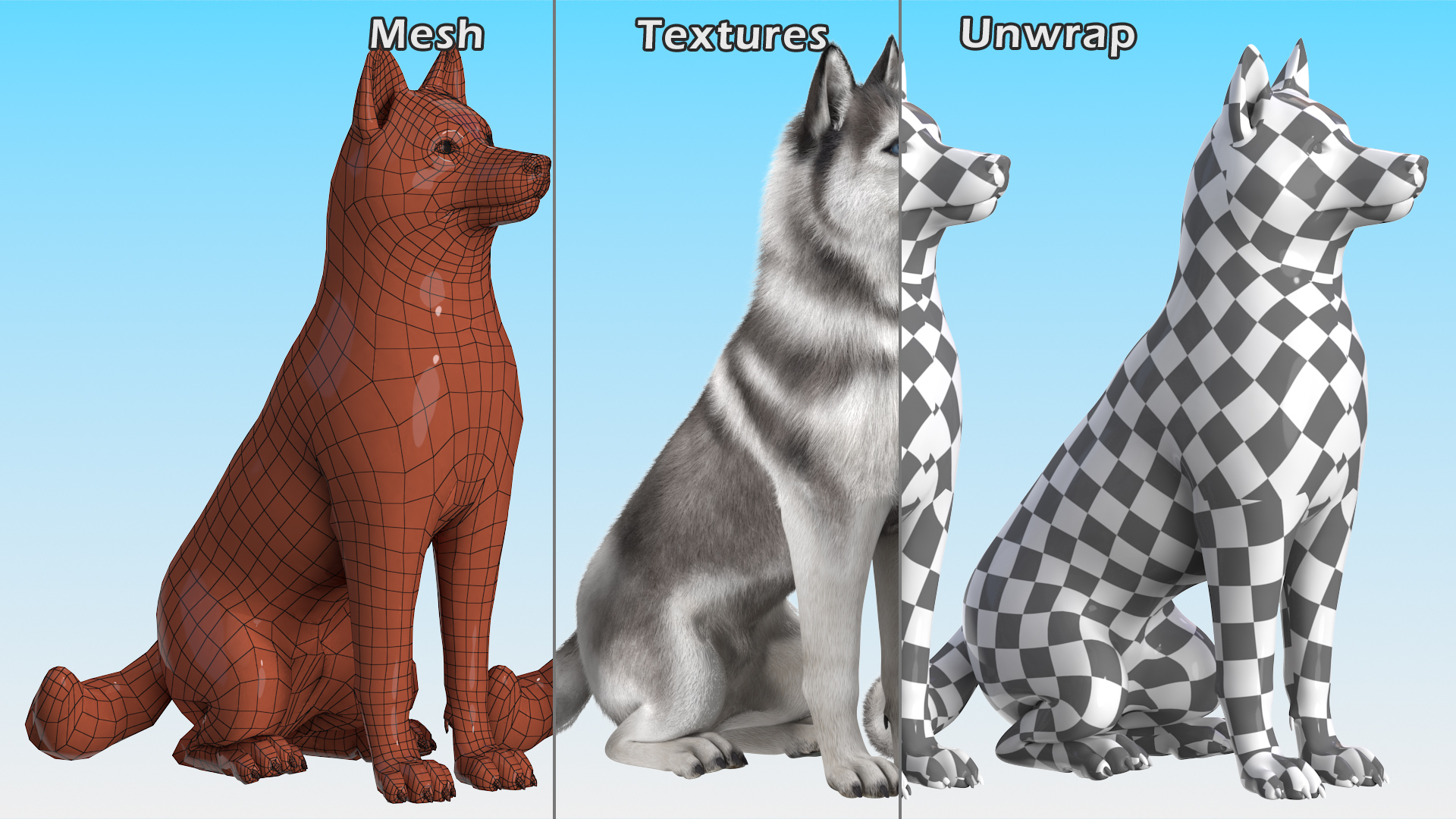 3D Sitting Siberian Husky Gray and White Fur