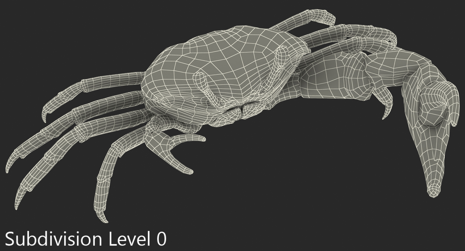 3D Calling Crab Fighting Pose