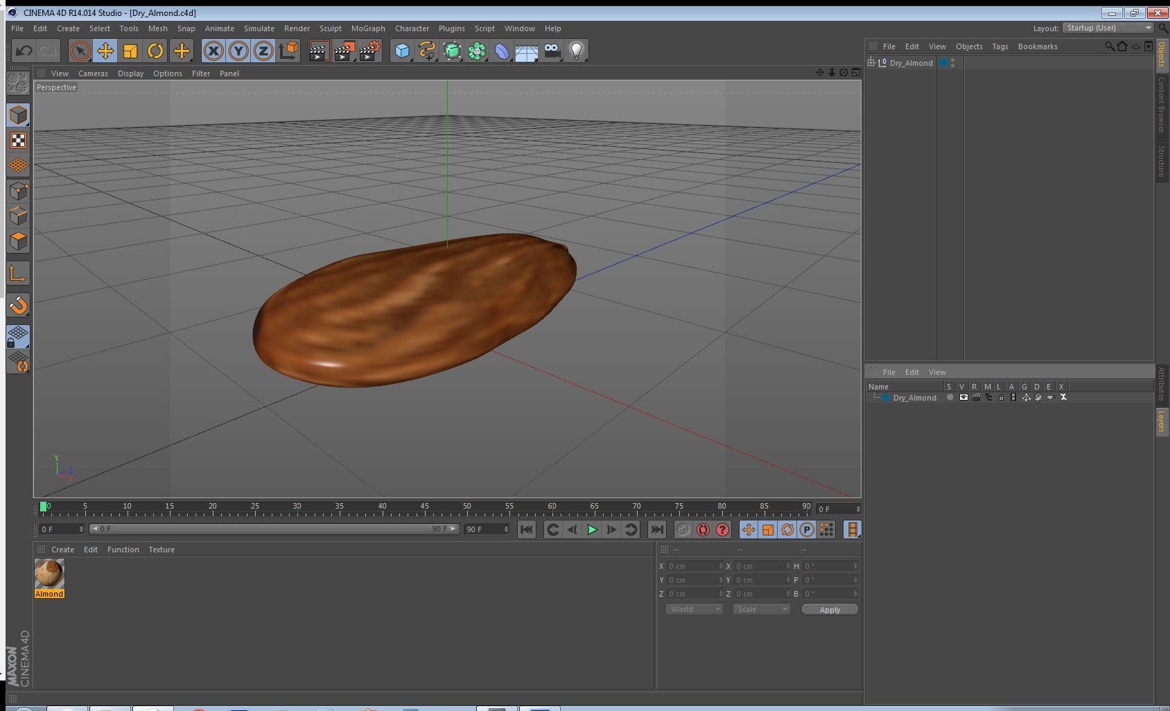 3D model Dry Almond