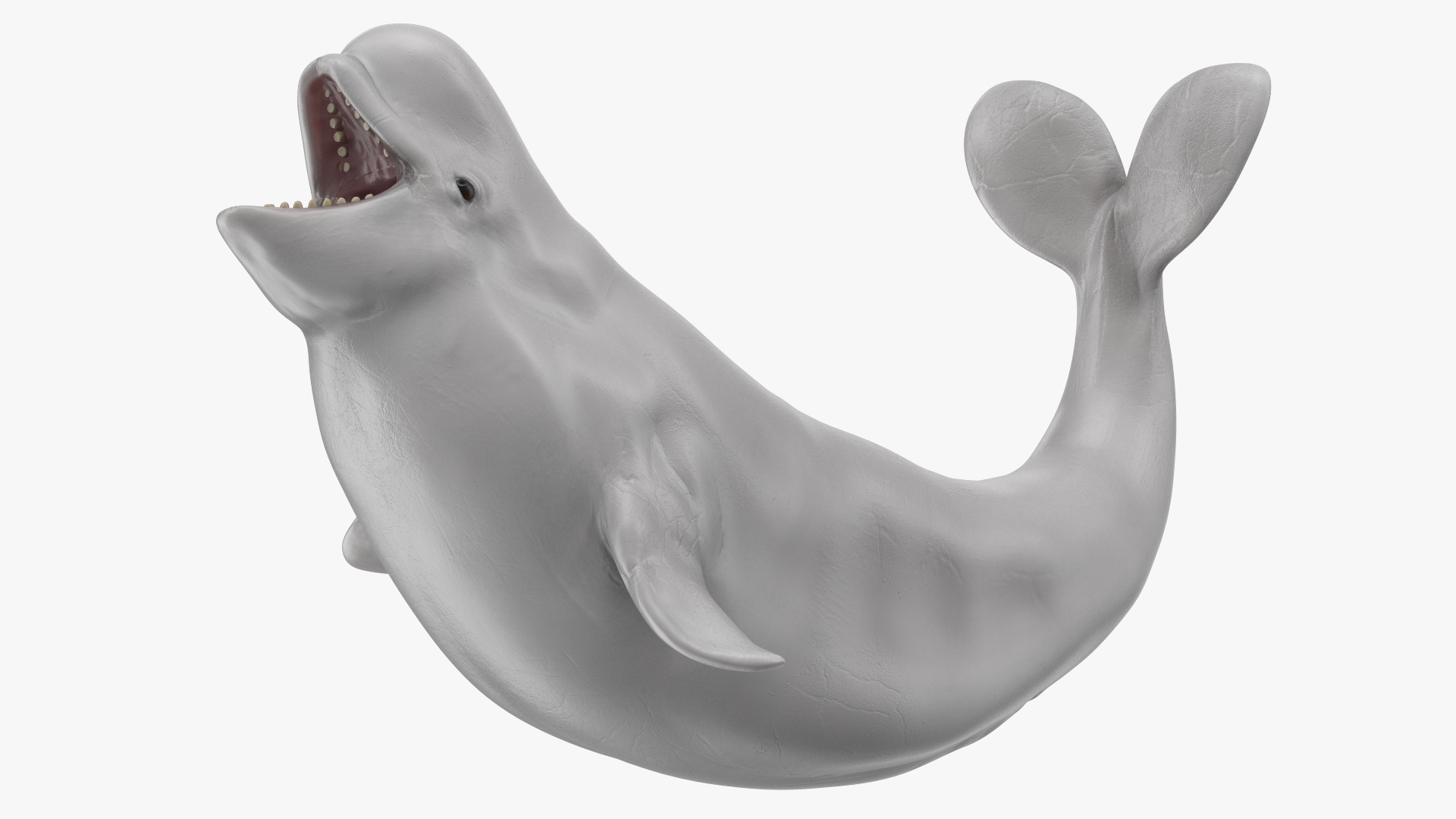 3D Beluga Whale Young Playful Pose