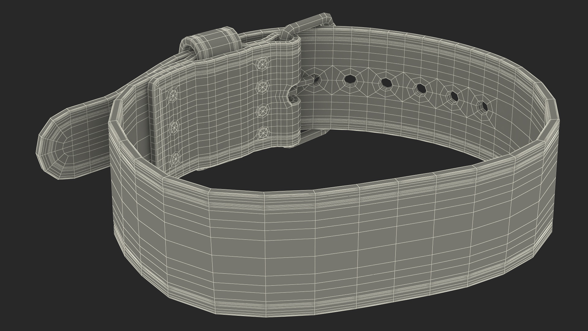 3D Rogue Brown Lifting Weight Belt