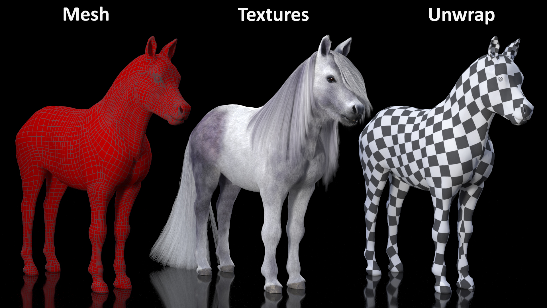 3D White Pony with Long Mane Fur Rigged