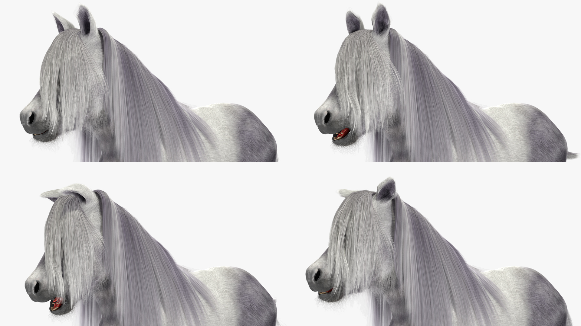 3D White Pony with Long Mane Fur Rigged
