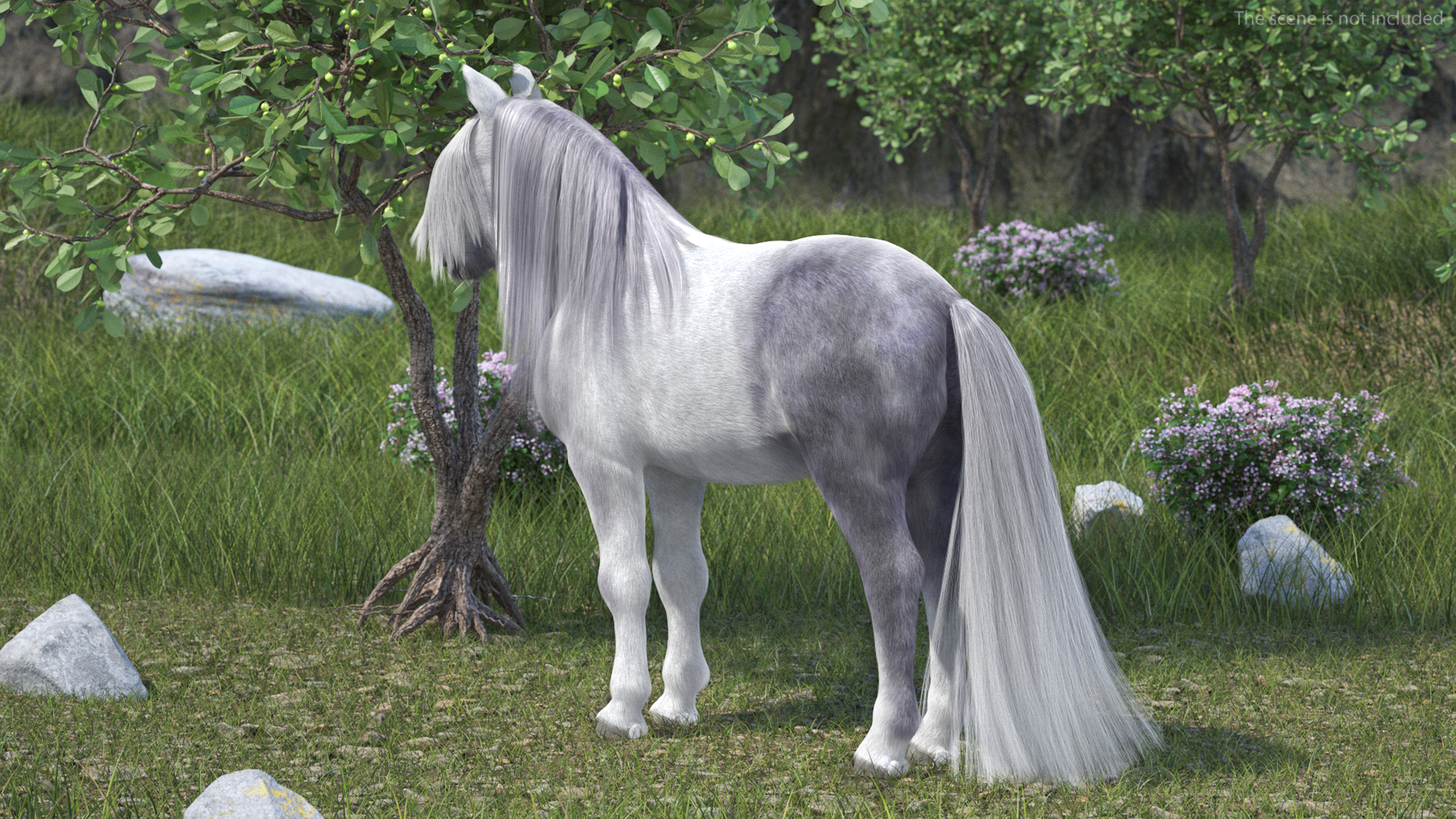 3D White Pony with Long Mane Fur Rigged