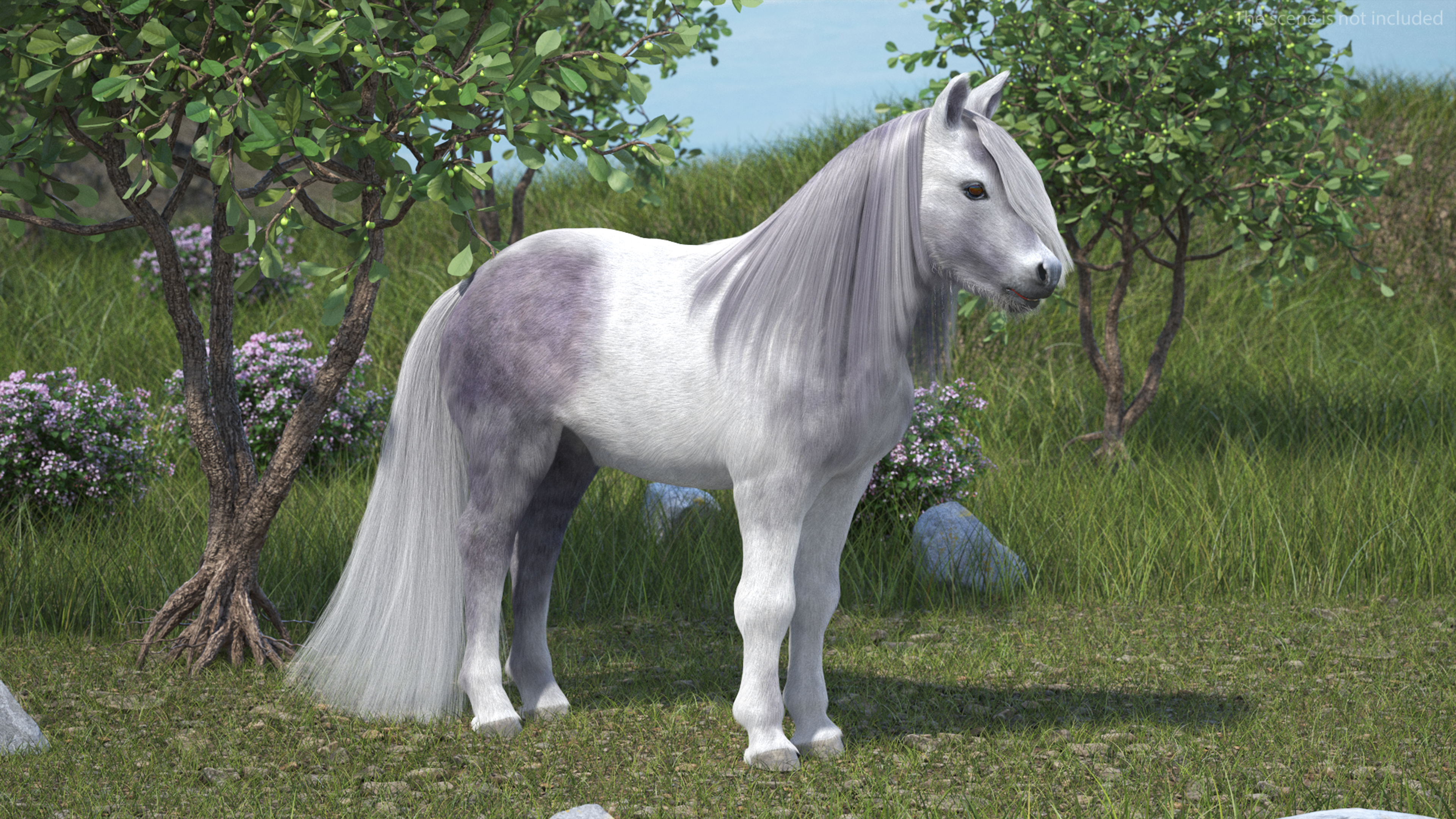 3D White Pony with Long Mane Fur Rigged
