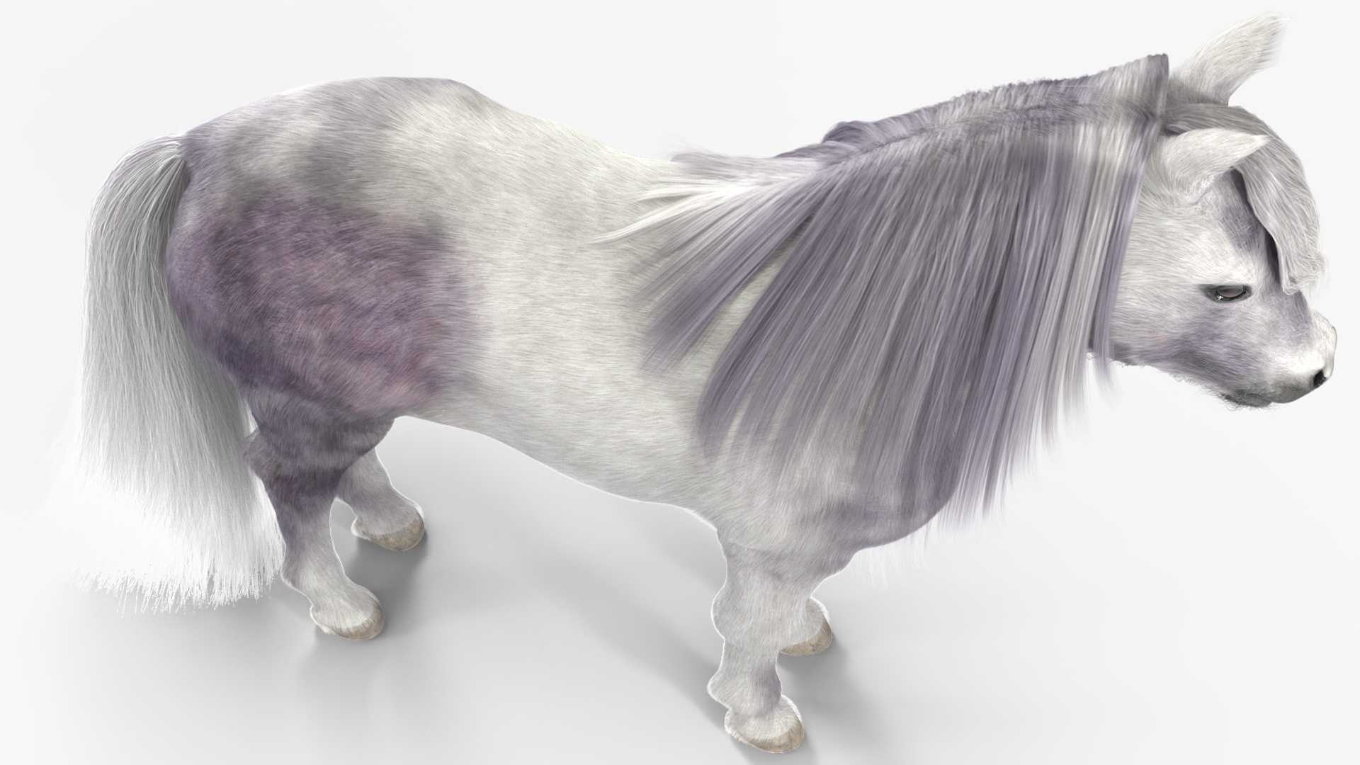 3D White Pony with Long Mane Fur Rigged