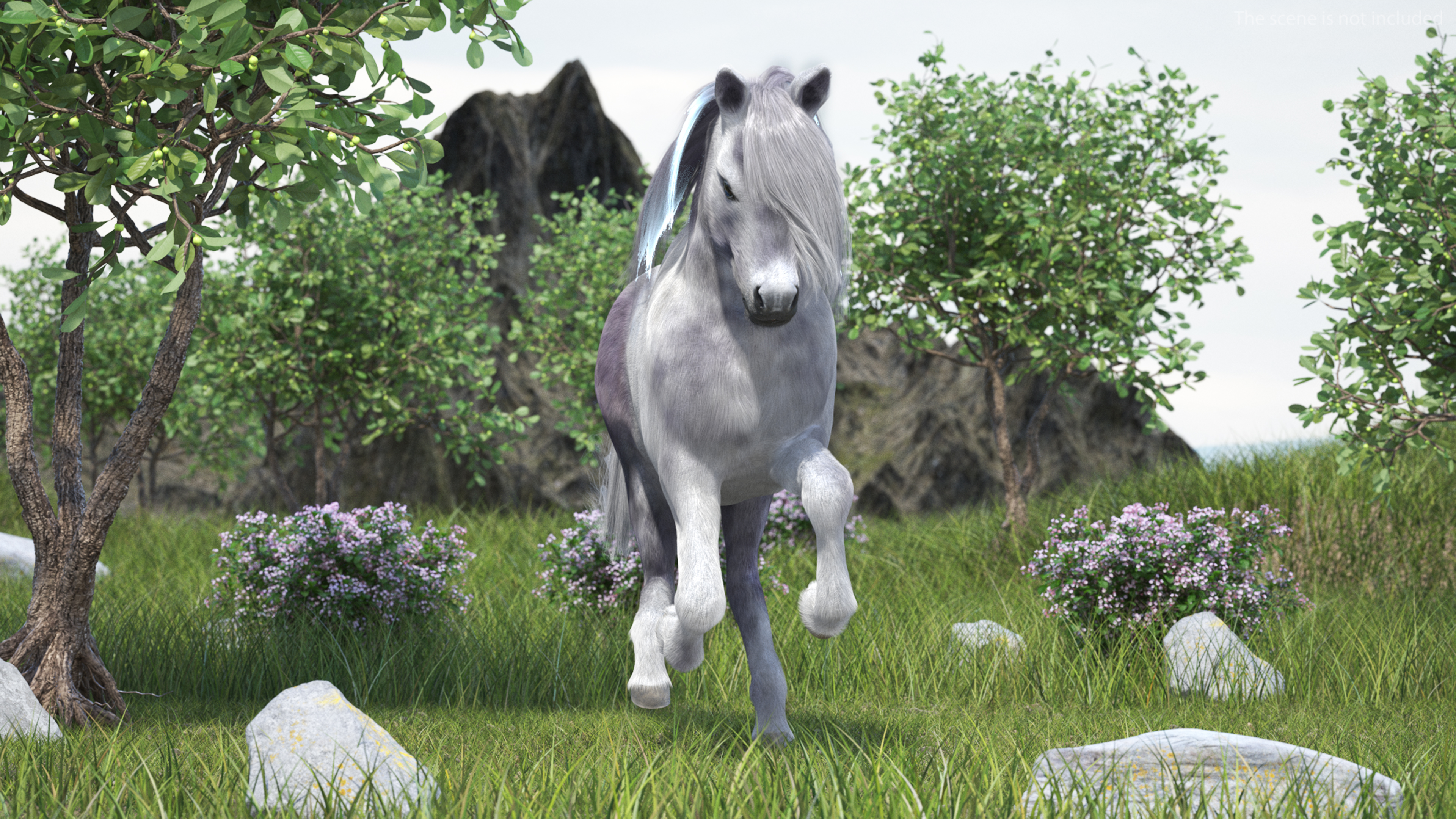 3D White Pony with Long Mane Fur Rigged