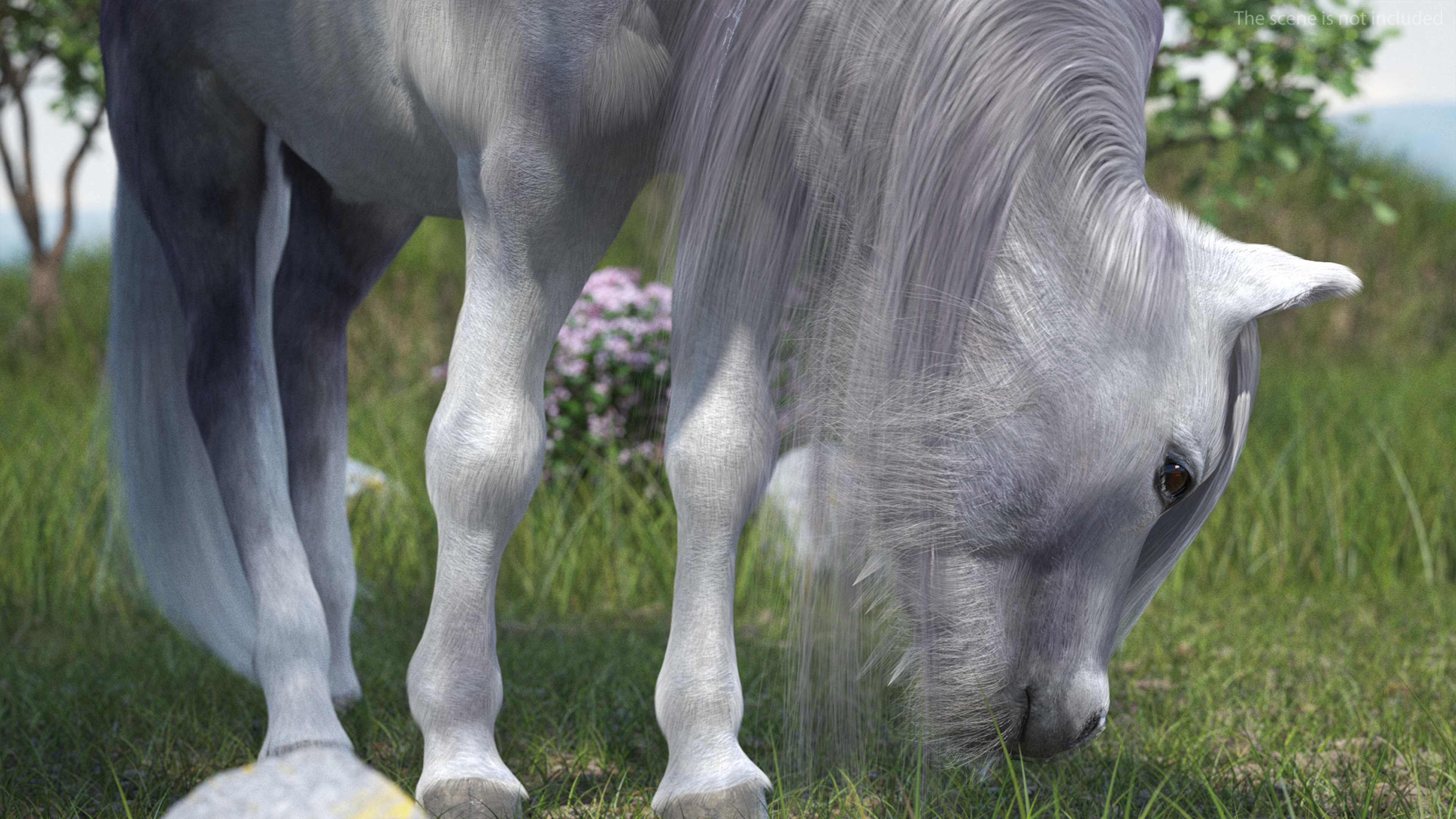 3D White Pony with Long Mane Fur Rigged