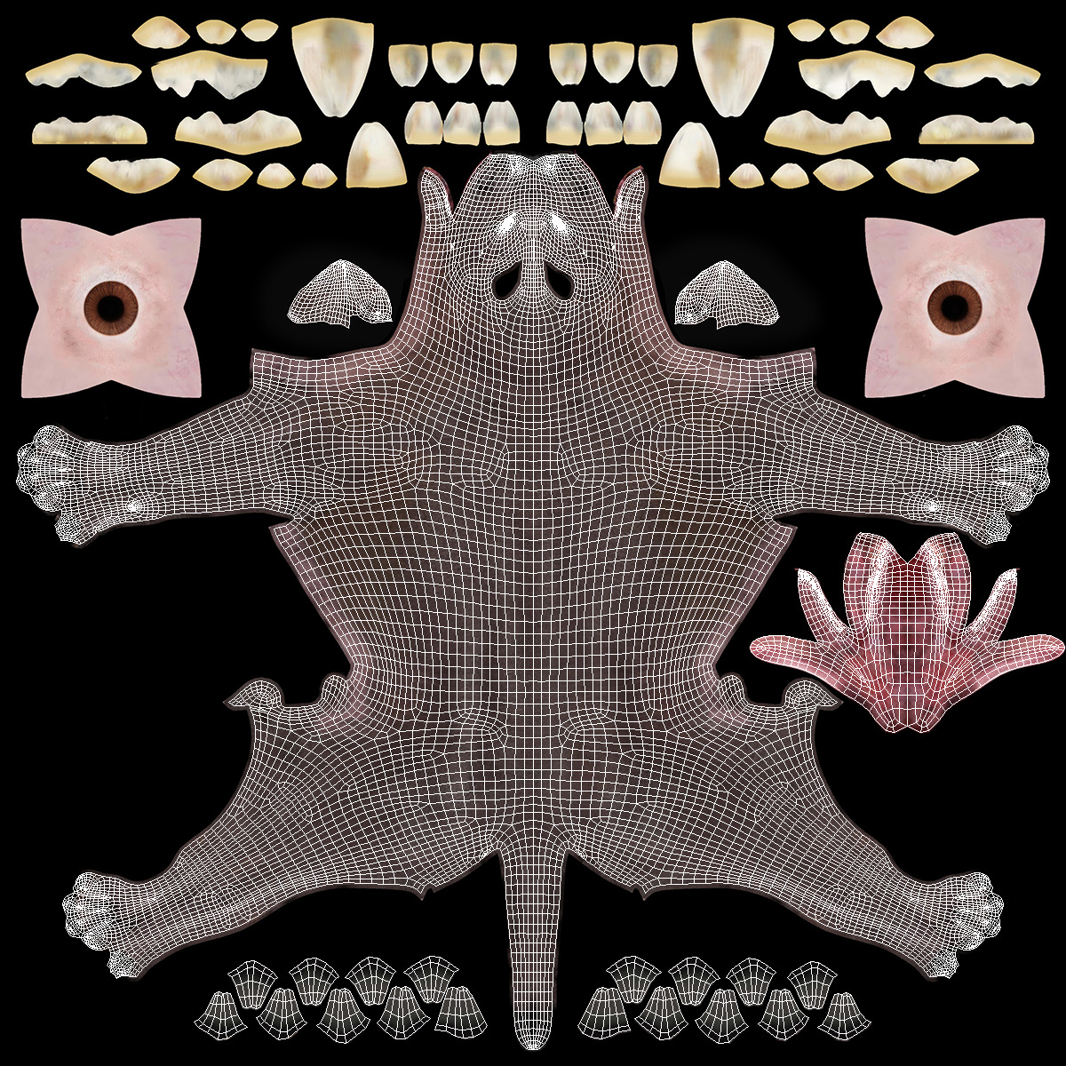 Xoloitzquintle Hairless Dog Black Fur Rigged 3D model