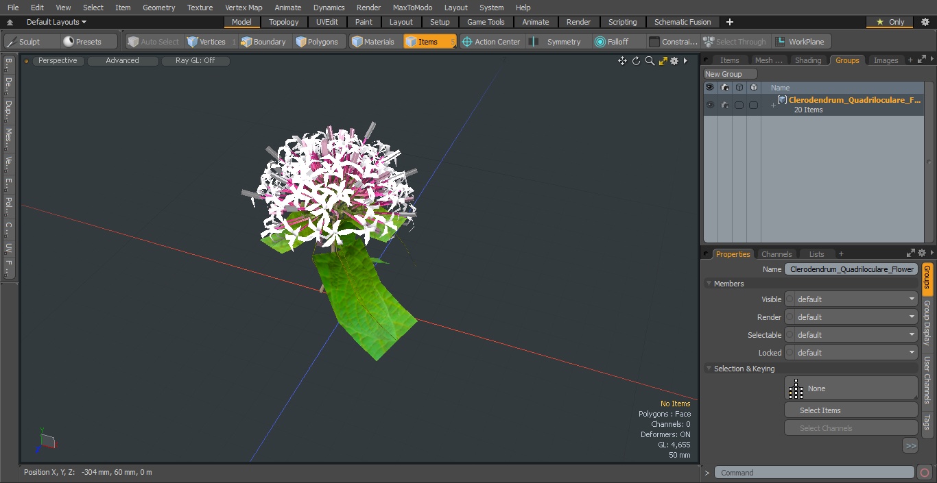 Clerodendrum Quadriloculare Flower 3D model