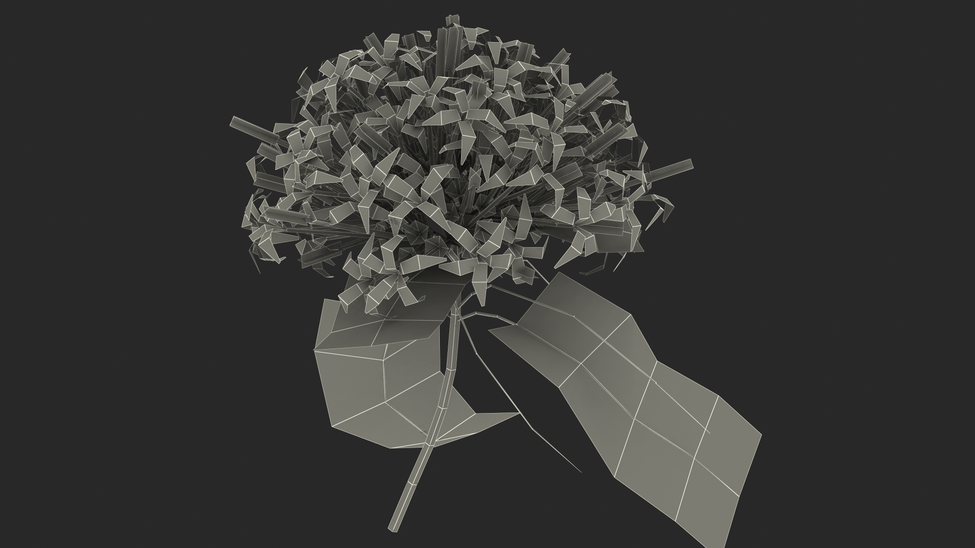 Clerodendrum Quadriloculare Flower 3D model