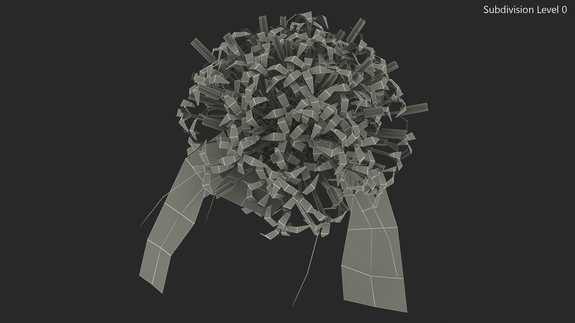 Clerodendrum Quadriloculare Flower 3D model