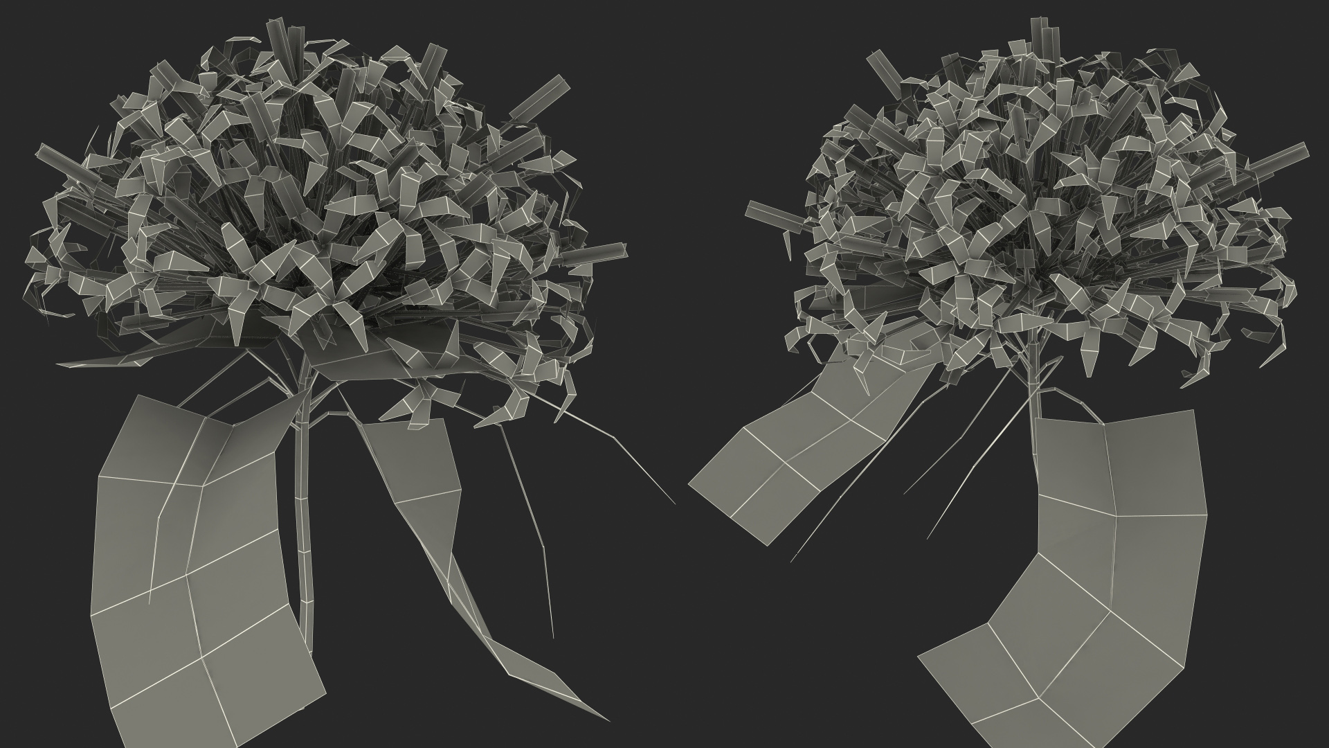 Clerodendrum Quadriloculare Flower 3D model