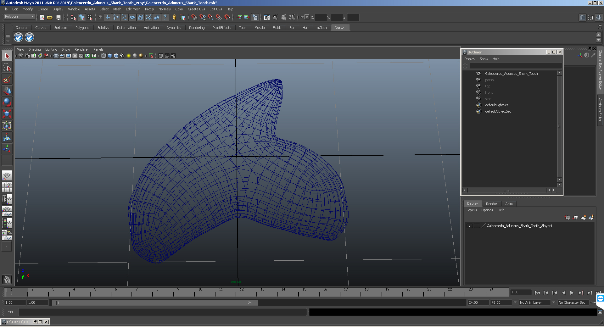 3D model Galeocerdo Aduncus Shark Tooth