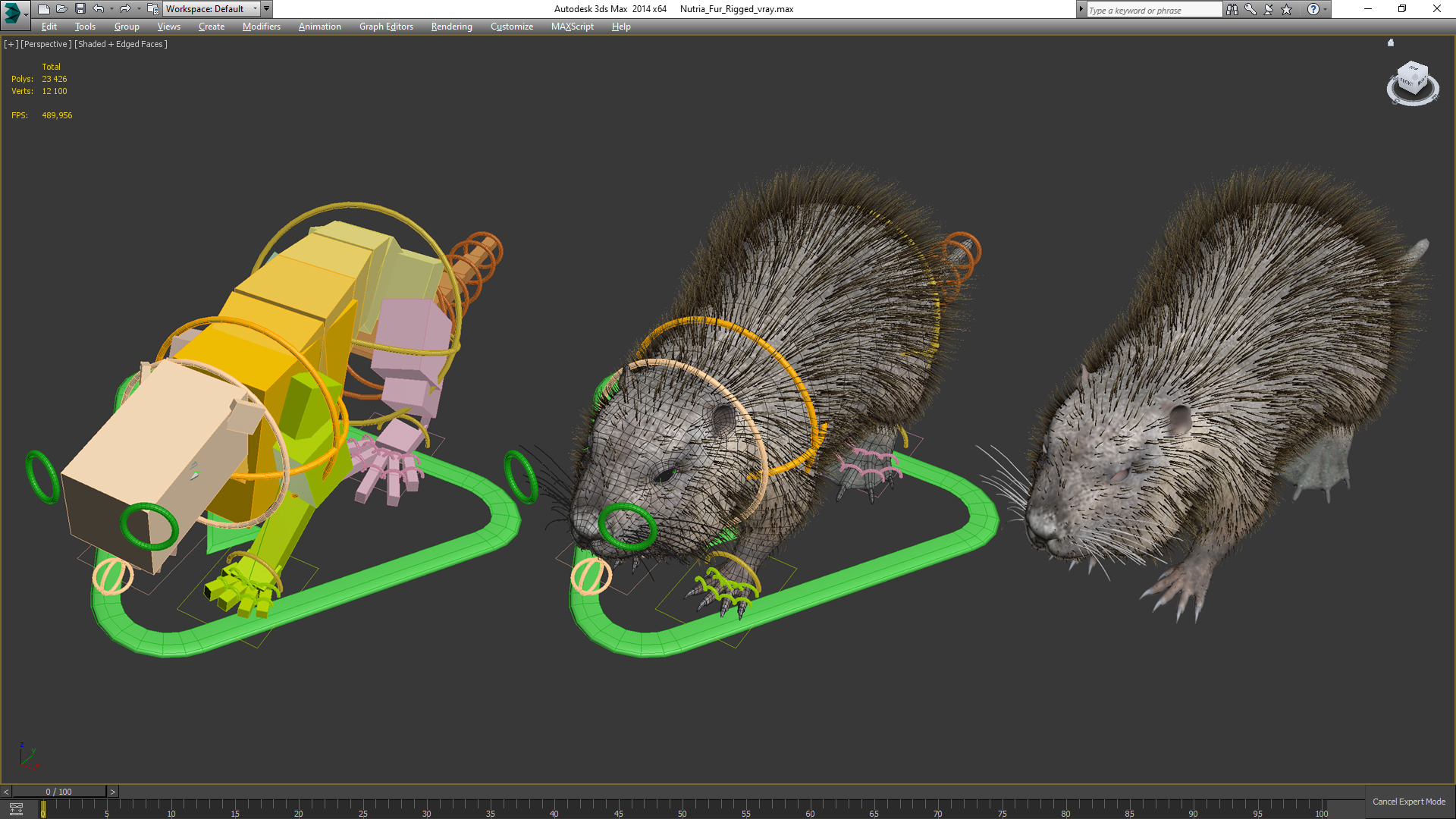 Nutria Fur Rigged 3D