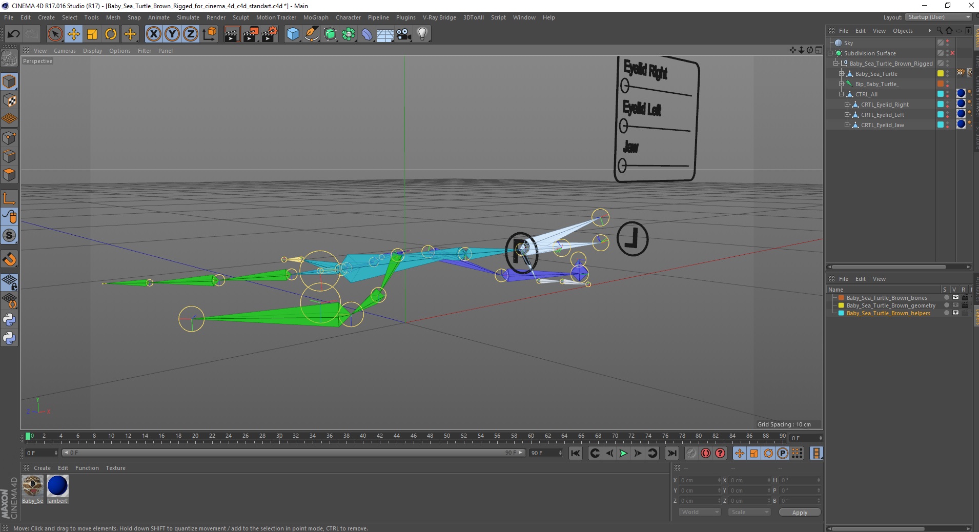 Baby Sea Turtle Brown Rigged for Cinema 4D 3D