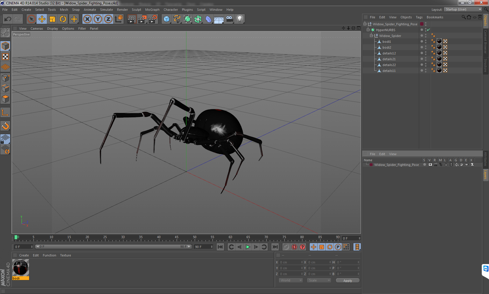 3D Widow Spider Fighting Pose