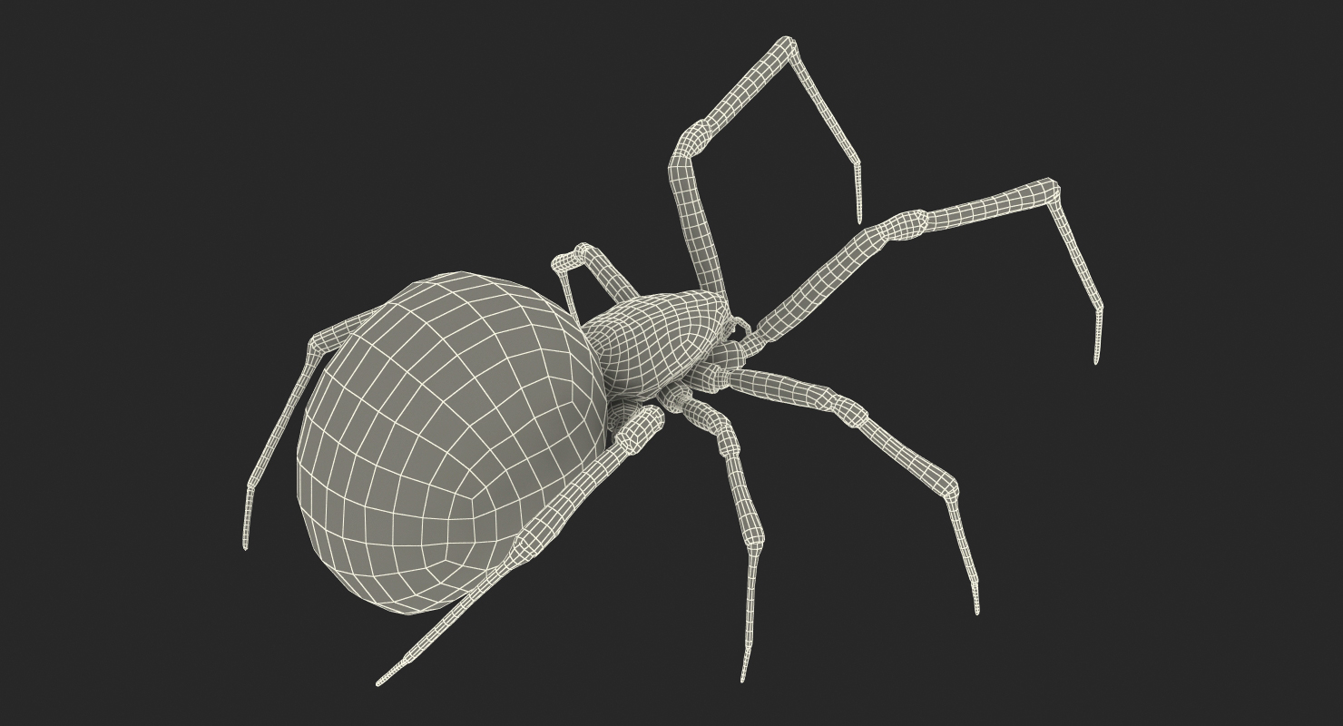 3D Widow Spider Fighting Pose