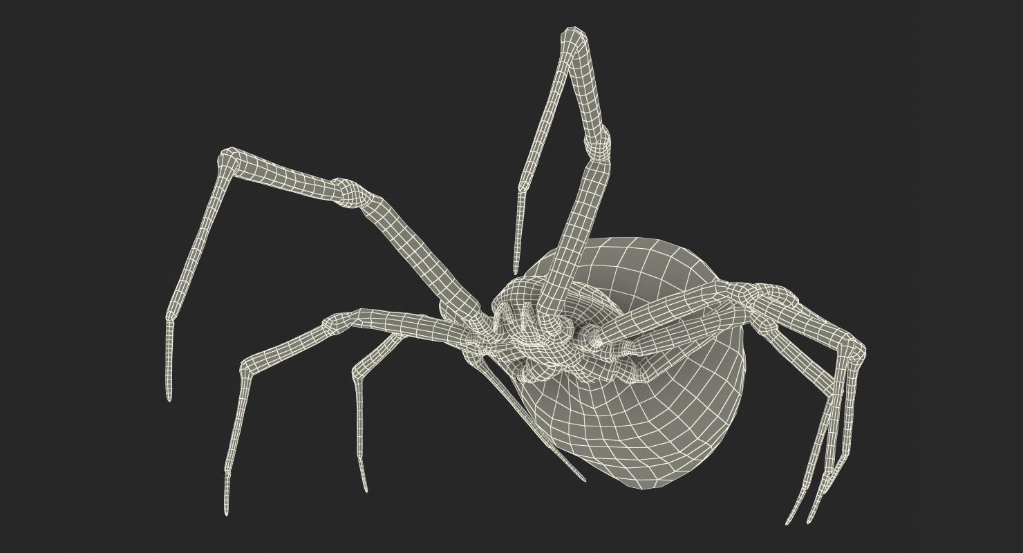 3D Widow Spider Fighting Pose