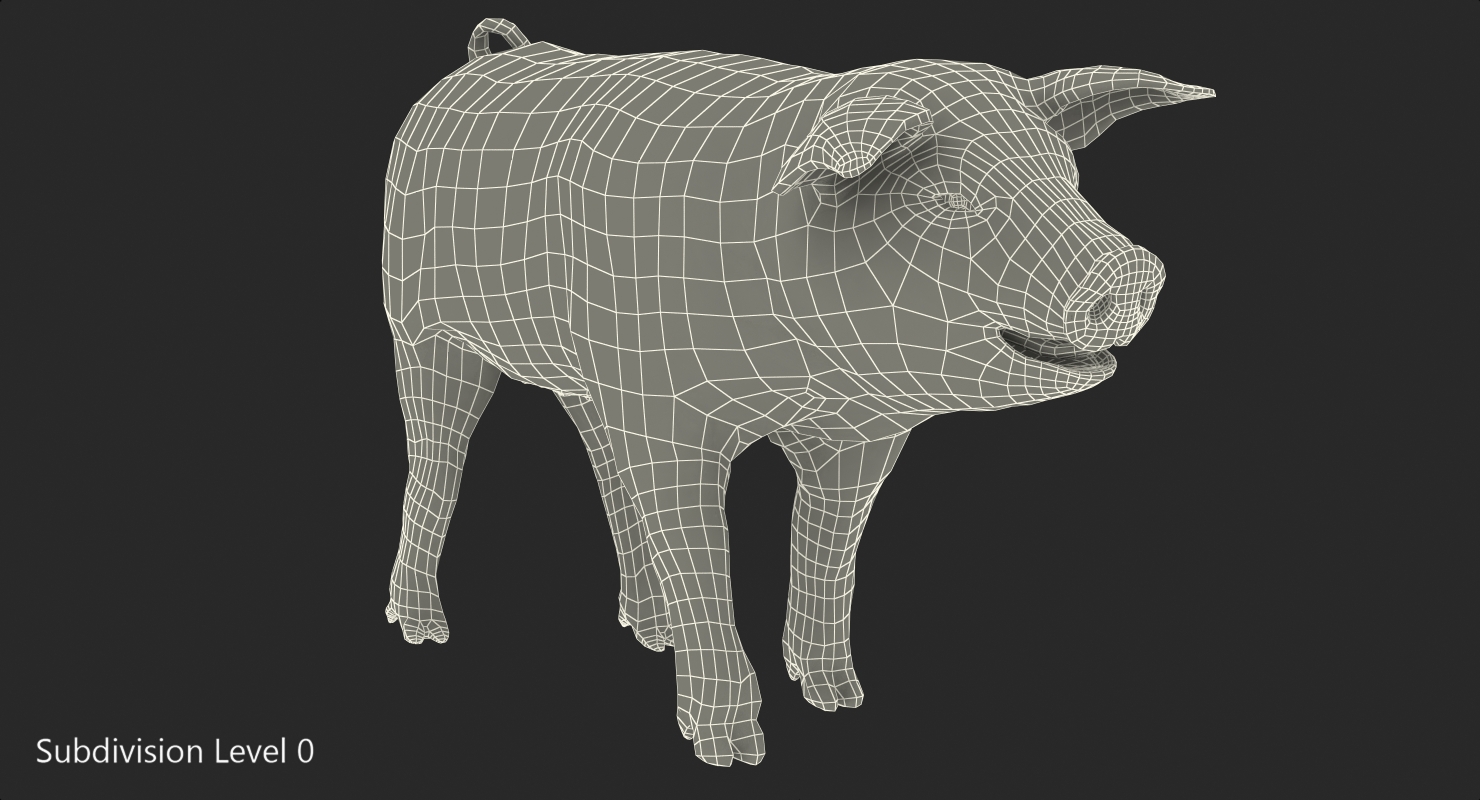 Pig Piglet Landrace Walking Pose 3D