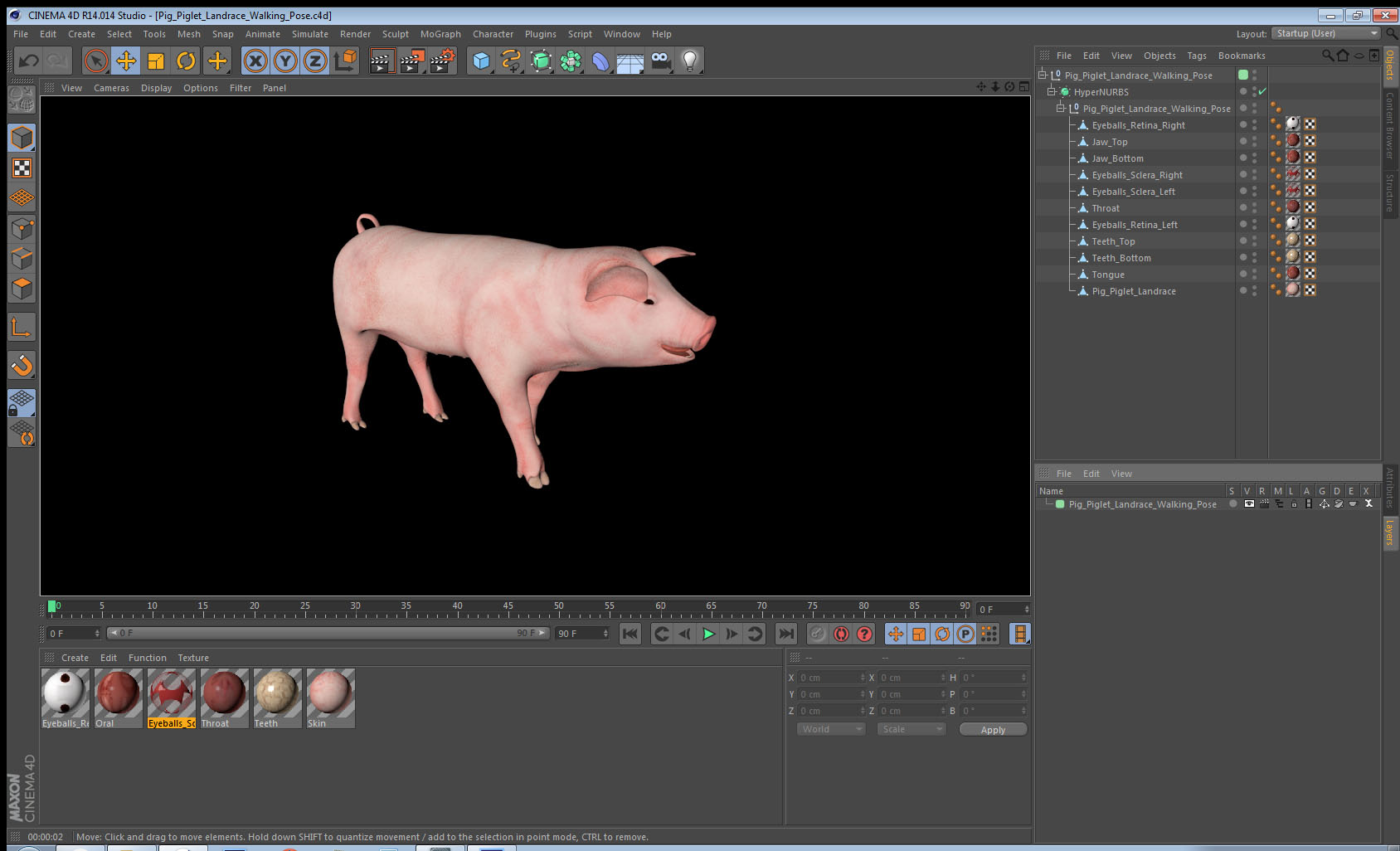 Pig Piglet Landrace Walking Pose 3D
