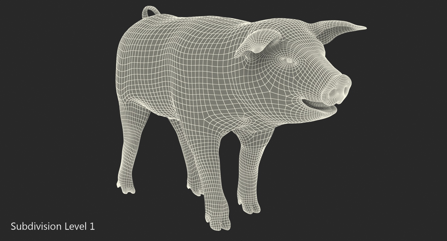 Pig Piglet Landrace Walking Pose 3D