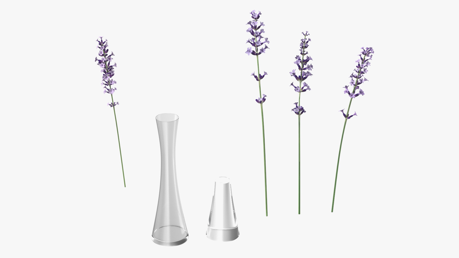 3D Vase with Lavender Flowers