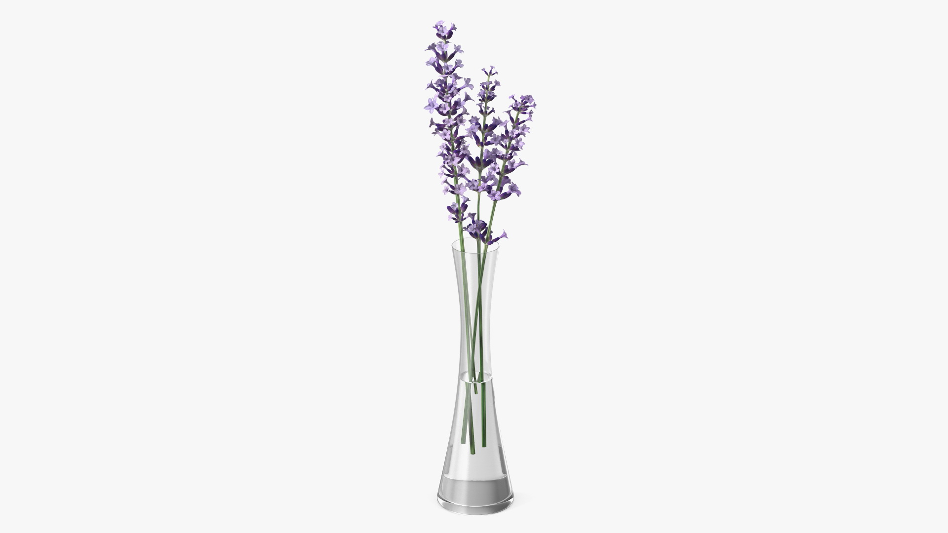 3D Vase with Lavender Flowers