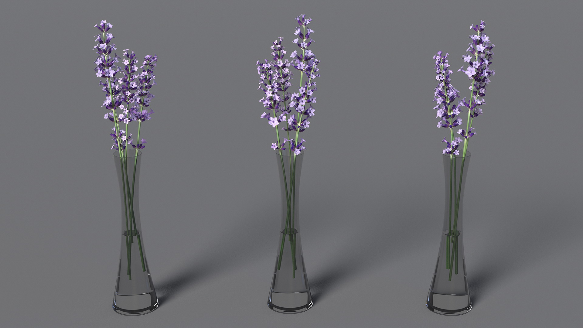 3D Vase with Lavender Flowers