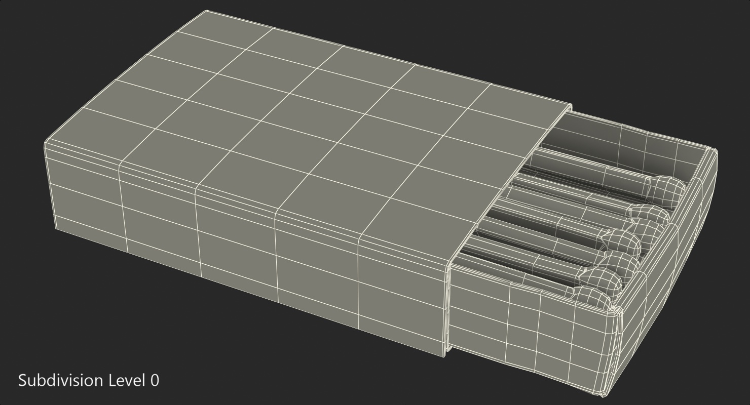 3D Matchsticks in Cardboard Matchbox model