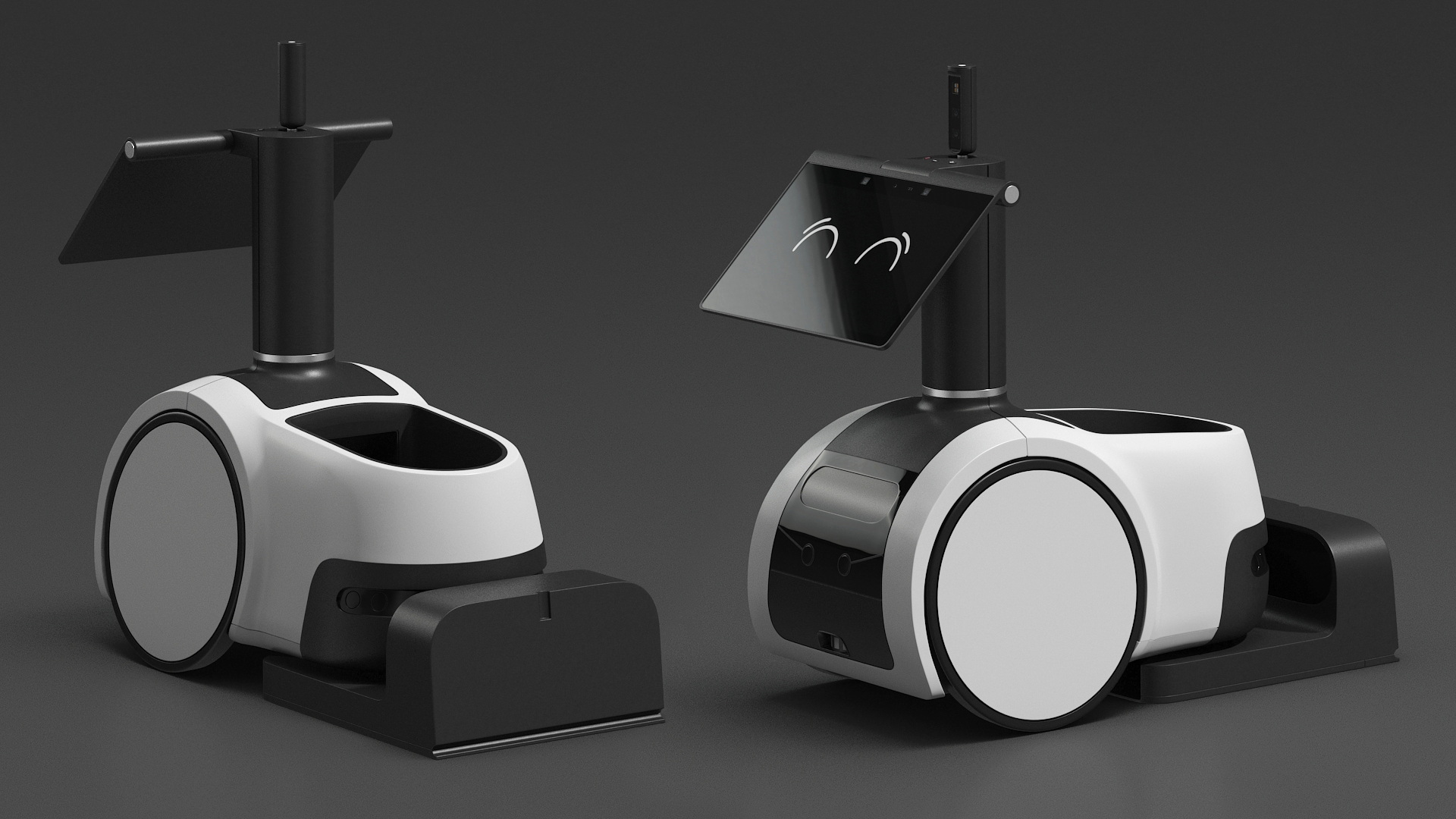 3D Household Robot Smile
