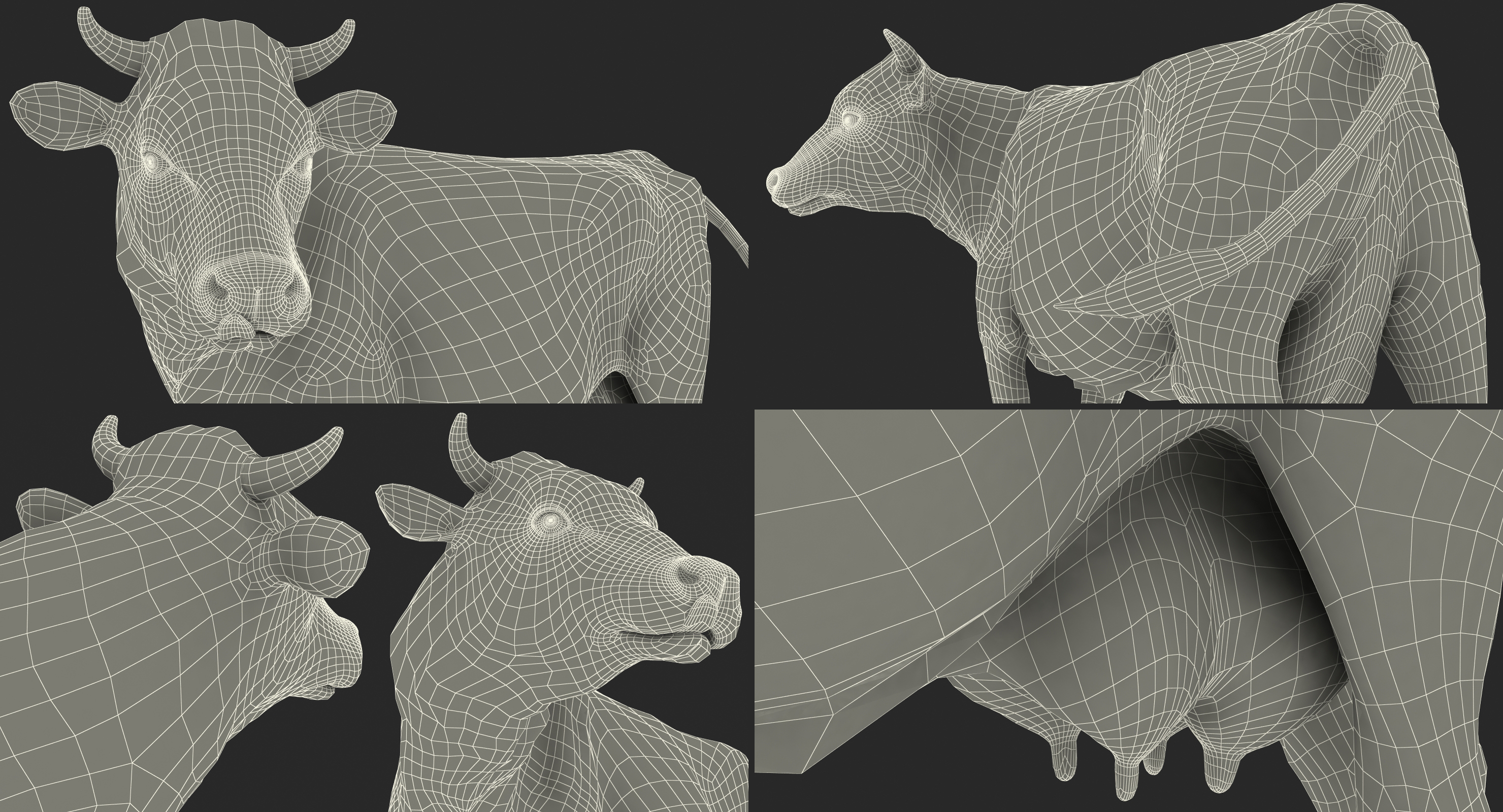 Holstein Cow 3D