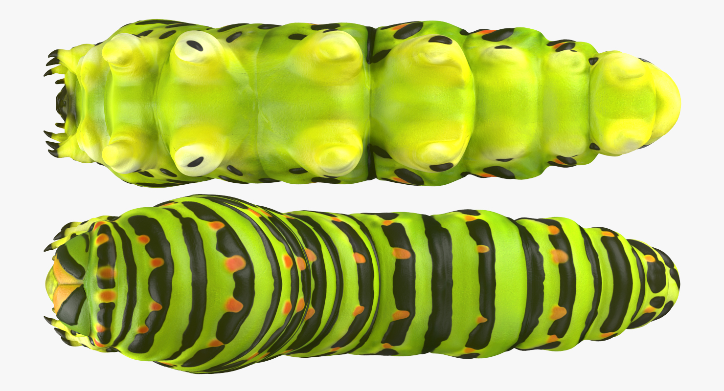 3D Caterpillar Pose 2 model