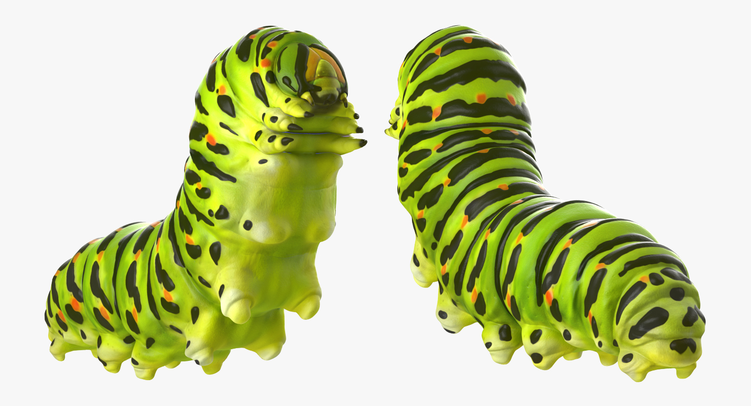 3D Caterpillar Pose 2 model