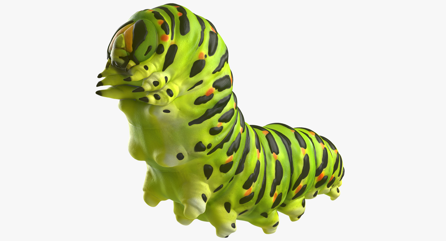 3D Caterpillar Pose 2 model