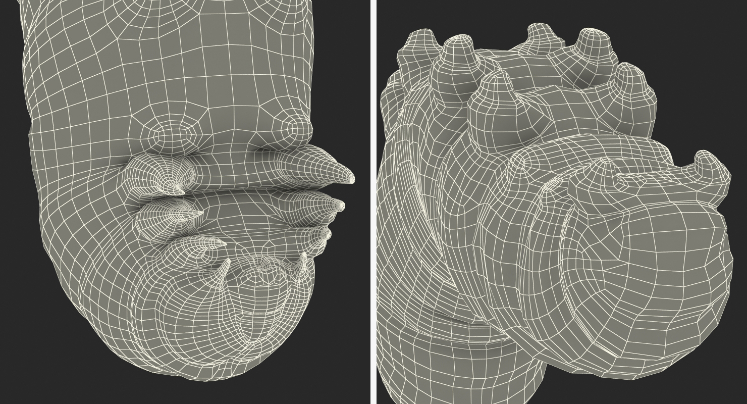 3D Caterpillar Pose 2 model