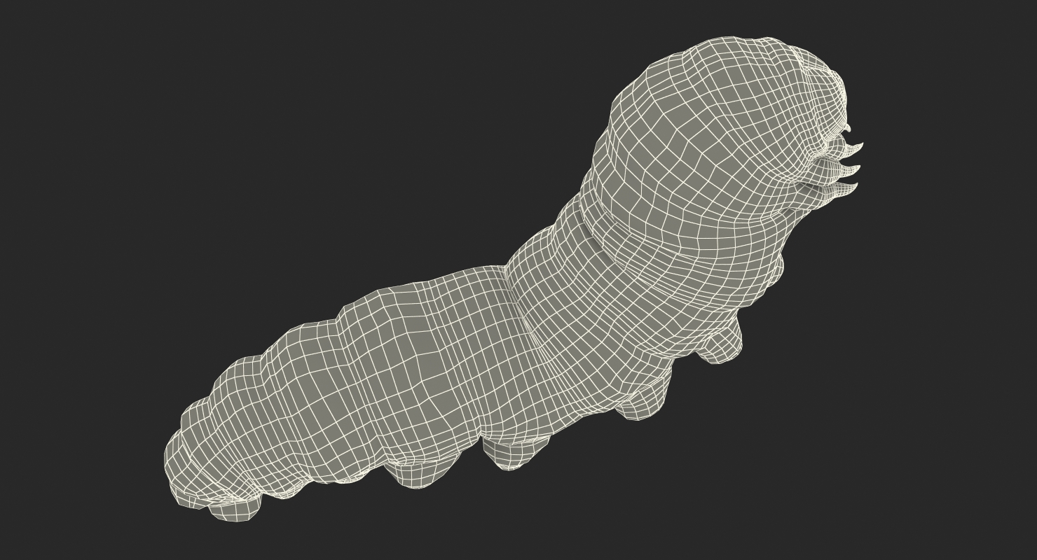 3D Caterpillar Pose 2 model