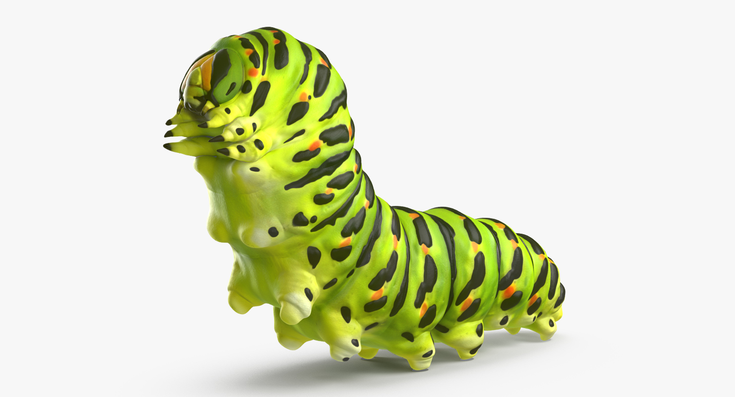 3D Caterpillar Pose 2 model