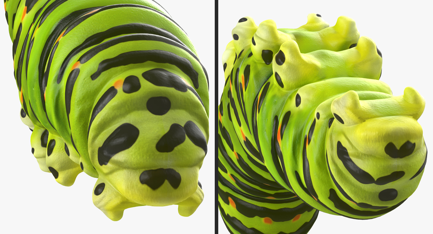 3D Caterpillar Pose 2 model